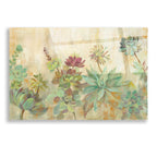 Epic Art 'Succulent Garden' by Silvia Vassileva, Acrylic Glass Wall Art