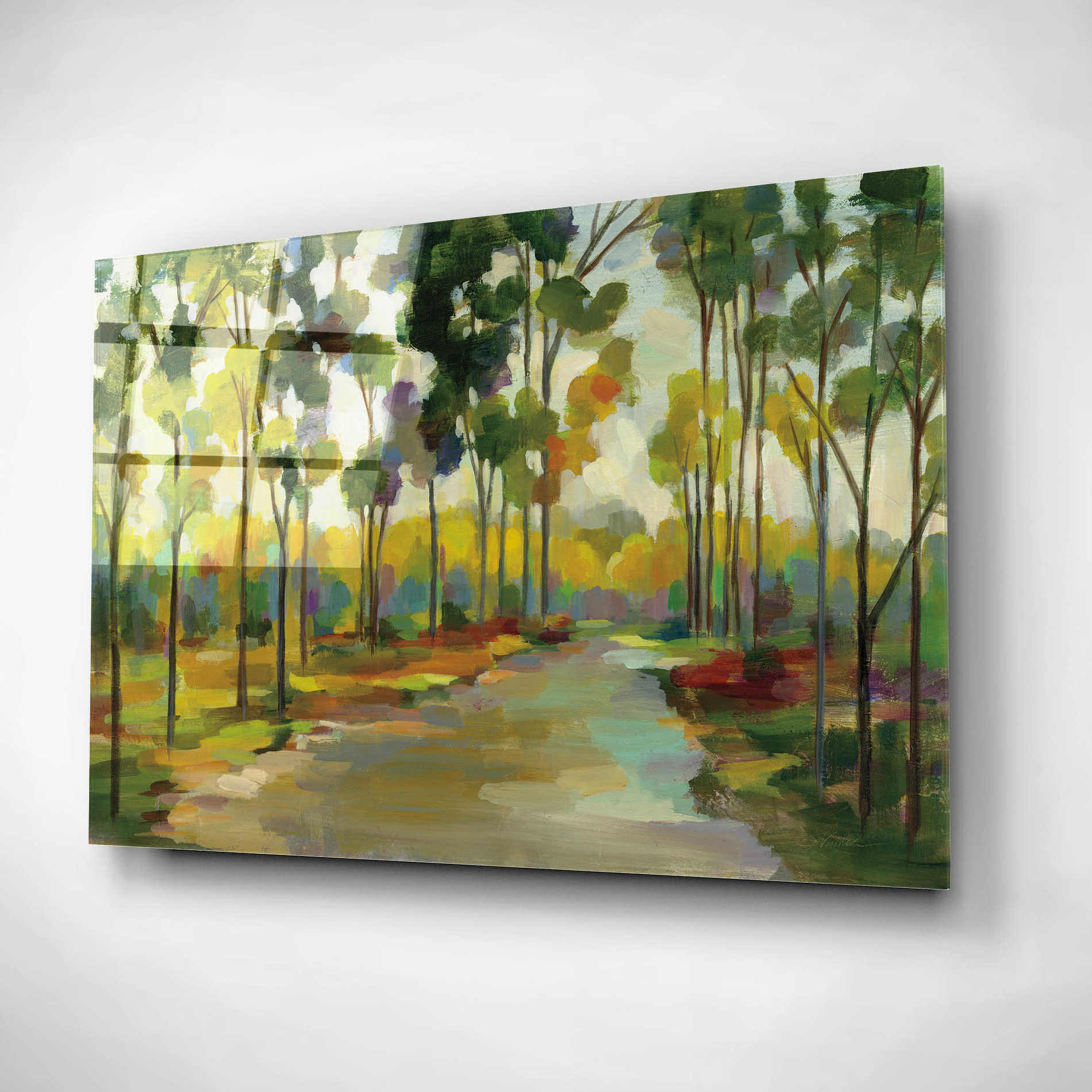 Epic Art 'Path in the Forest' by Silvia Vassileva, Acrylic Glass Wall Art,16x12