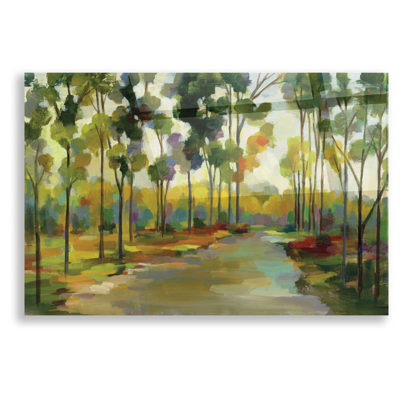 Epic Art 'Path in the Forest' by Silvia Vassileva, Acrylic Glass Wall Art,16x12