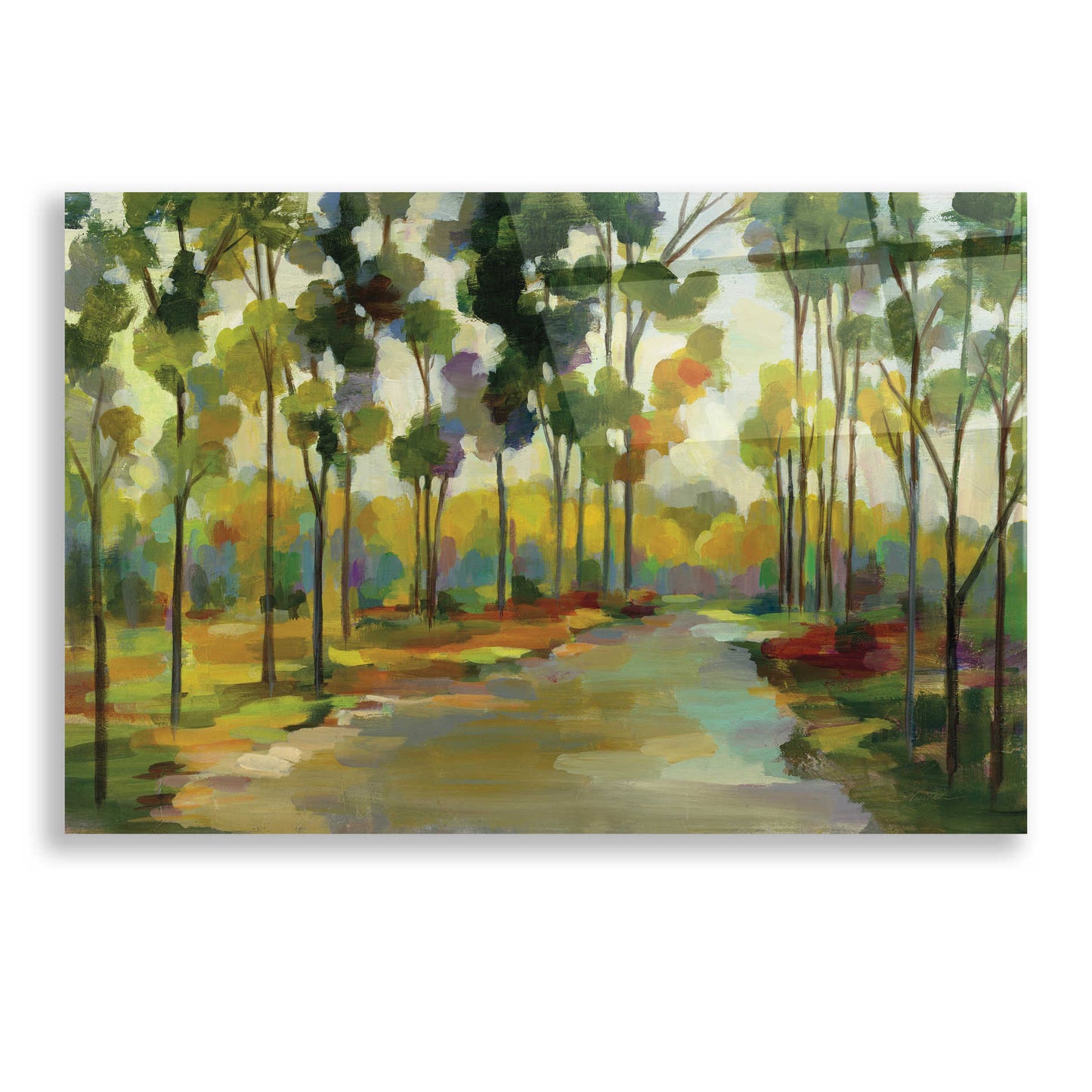 Epic Art 'Path in the Forest' by Silvia Vassileva, Acrylic Glass Wall Art,24x16