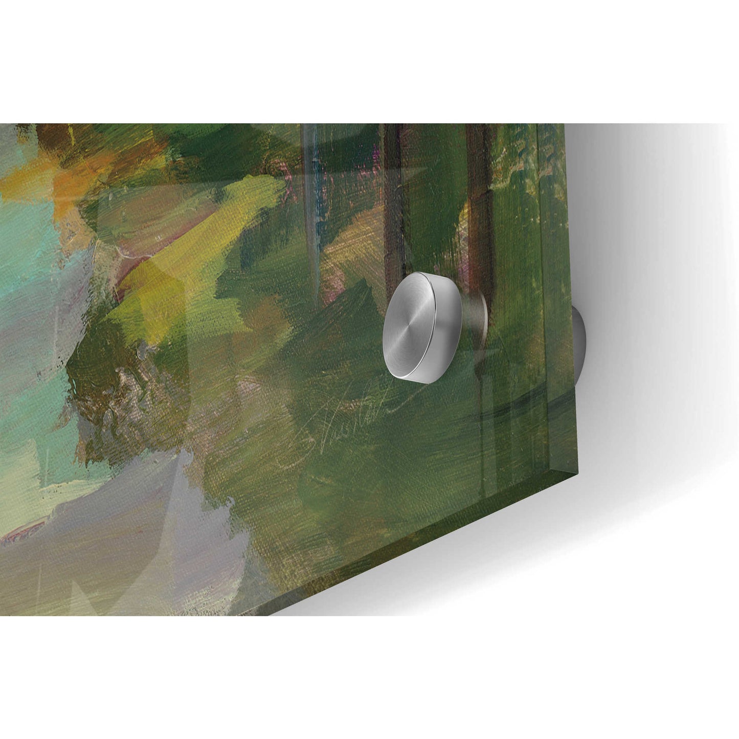 Epic Art 'Path in the Forest' by Silvia Vassileva, Acrylic Glass Wall Art,36x24