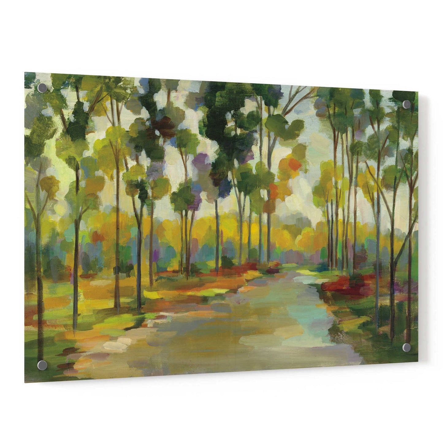 Epic Art 'Path in the Forest' by Silvia Vassileva, Acrylic Glass Wall Art,36x24