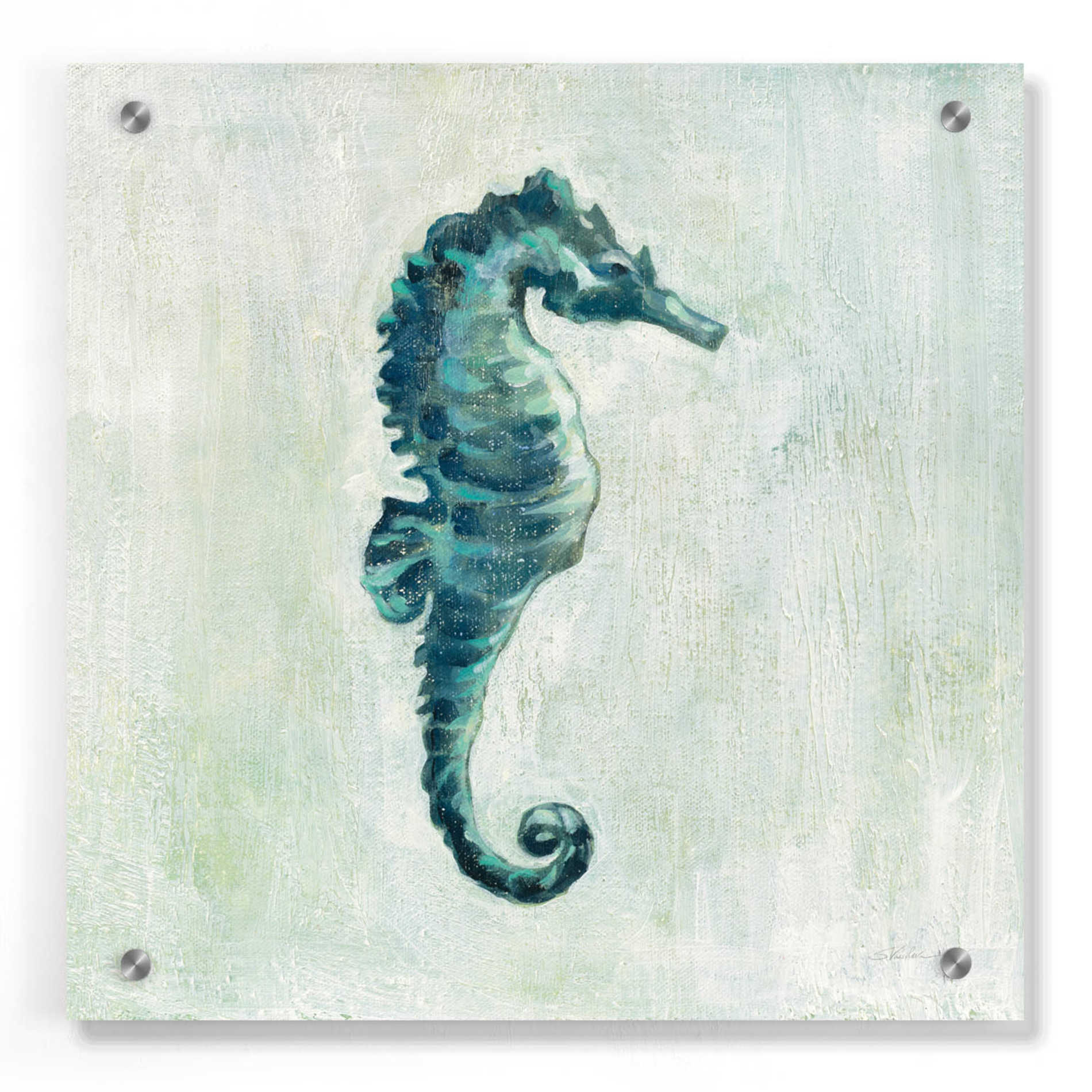Epic Art 'Indigo Sea Life I Grey' by Silvia Vassileva, Acrylic Glass Wall Art,36x36