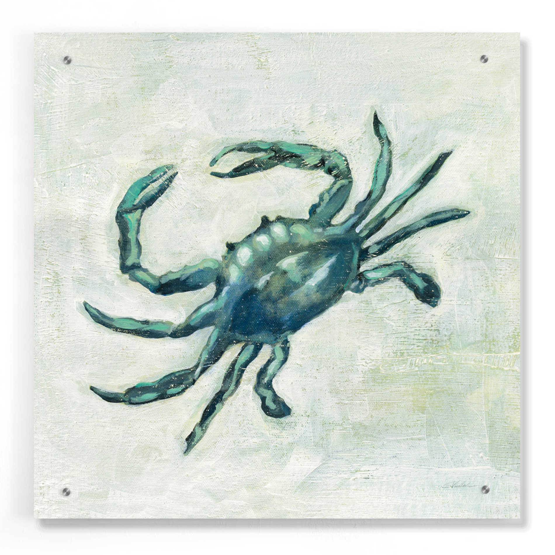 Epic Art 'Indigo Sea Life II' by Silvia Vassileva, Acrylic Glass Wall Art,24x24
