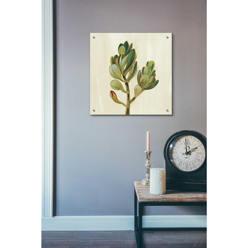 Epic Art 'Front Yard Succulent II' by Silvia Vassileva, Acrylic Glass Wall Art,24x24