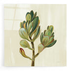 Epic Art 'Front Yard Succulent II' by Silvia Vassileva, Acrylic Glass Wall Art