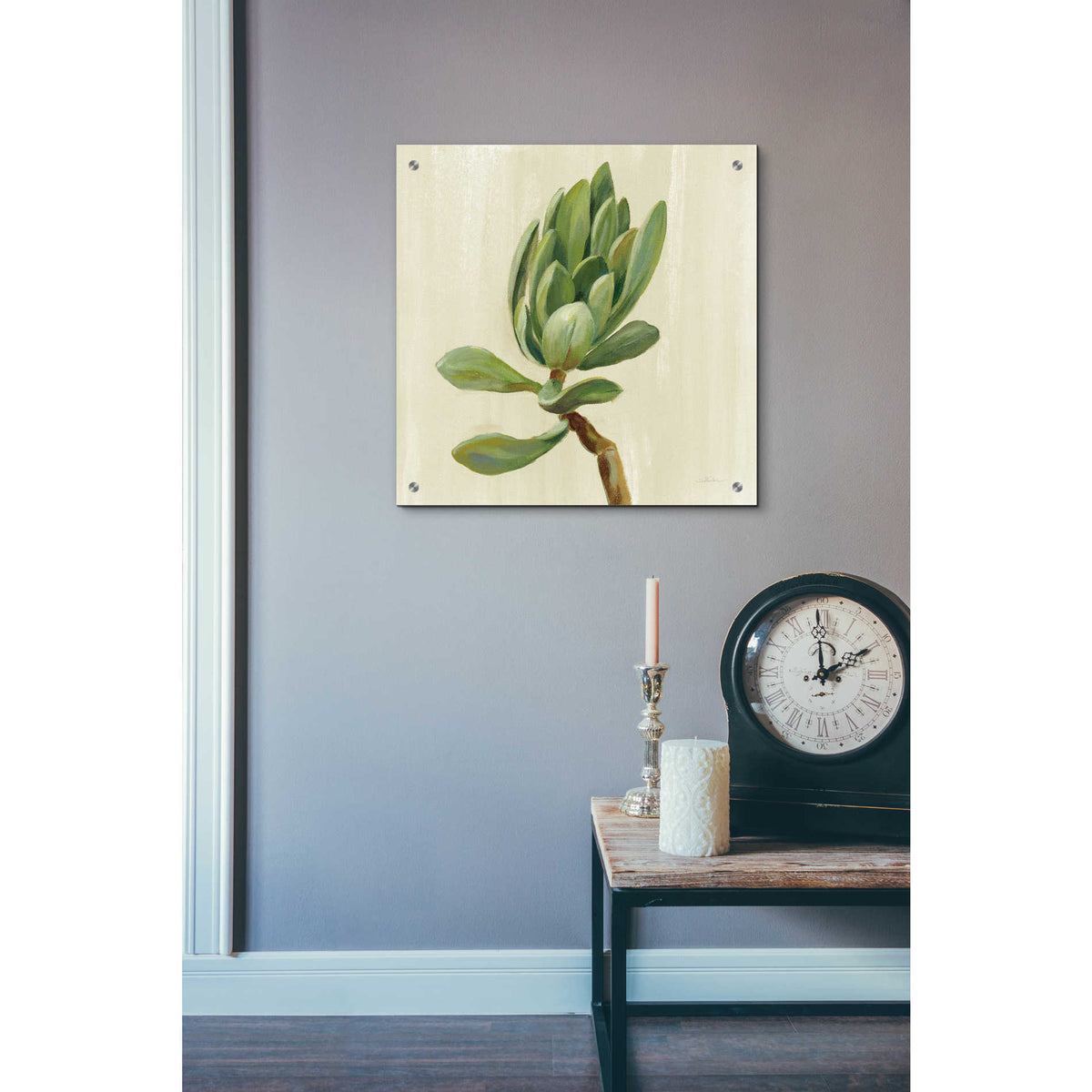 Epic Art 'Front Yard Succulent III' by Silvia Vassileva, Acrylic Glass Wall Art,24x24