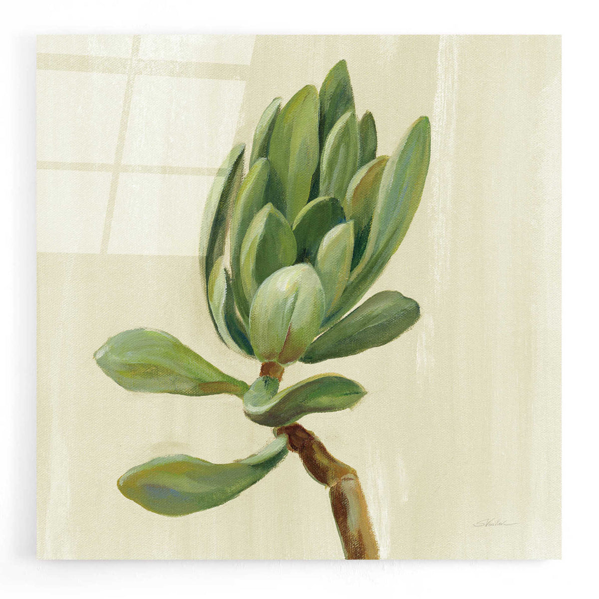 Epic Art 'Front Yard Succulent III' by Silvia Vassileva, Acrylic Glass Wall Art