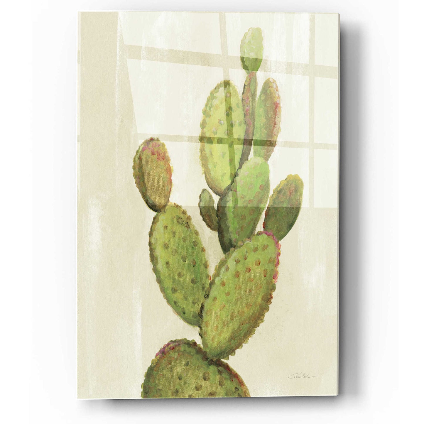 Epic Art 'Front Yard Cactus I' by Silvia Vassileva, Acrylic Glass Wall Art,12x16