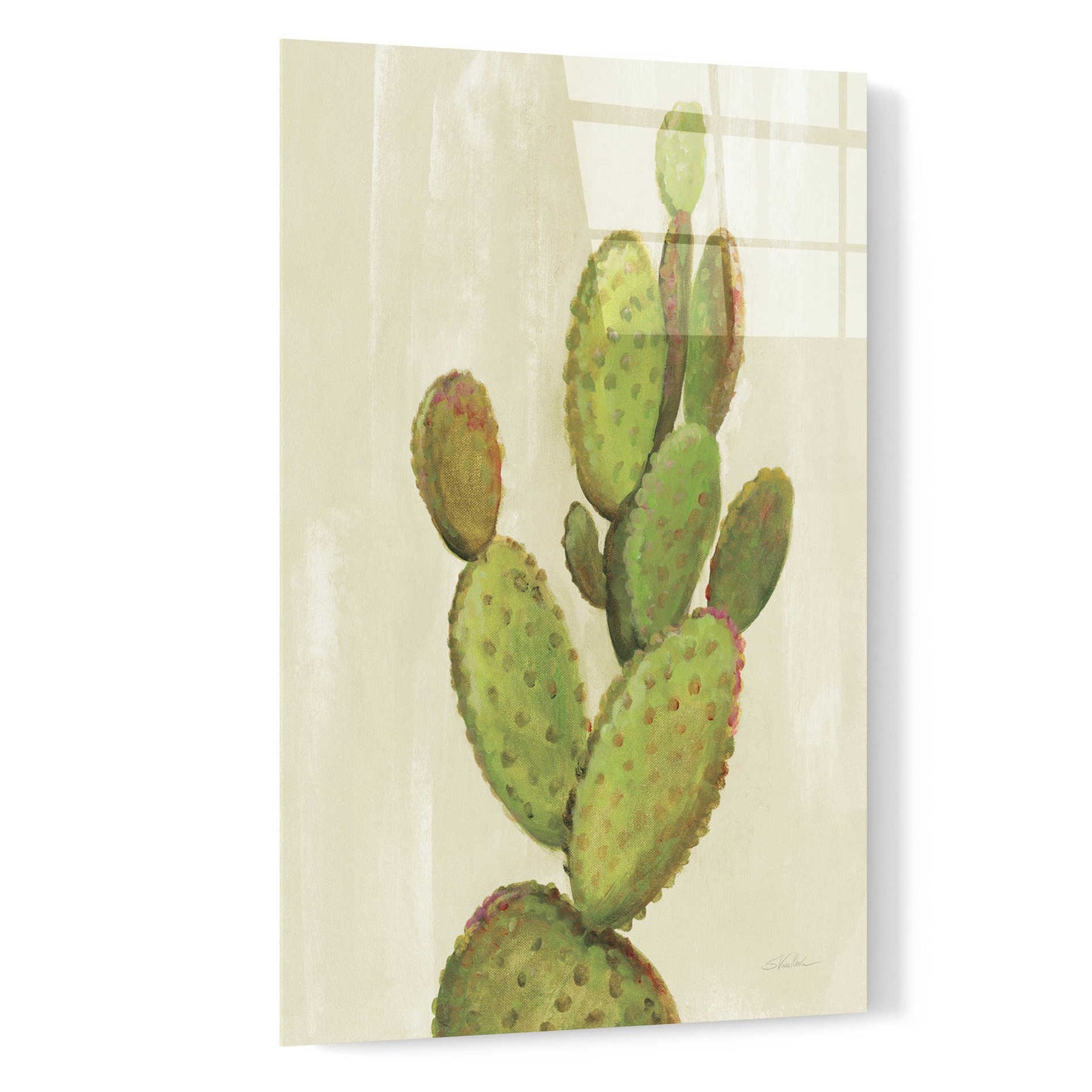 Epic Art 'Front Yard Cactus I' by Silvia Vassileva, Acrylic Glass Wall Art,16x24