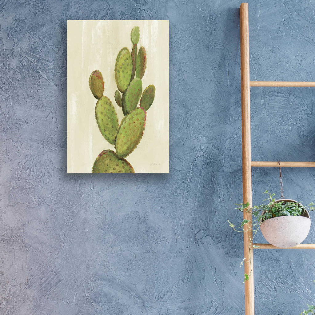 Epic Art 'Front Yard Cactus I' by Silvia Vassileva, Acrylic Glass Wall Art,16x24