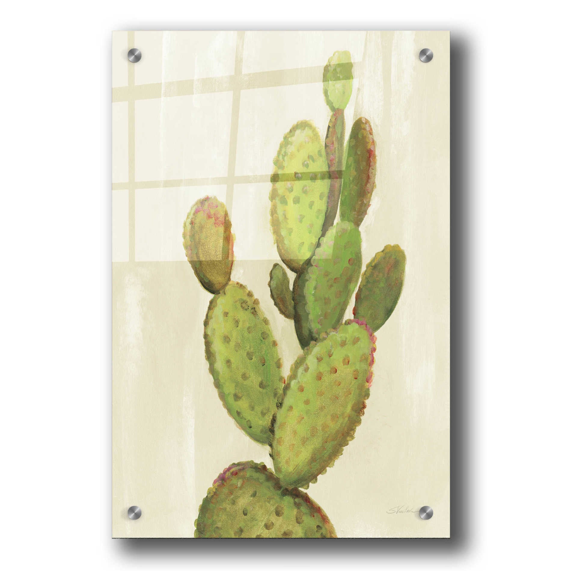 Epic Art 'Front Yard Cactus I' by Silvia Vassileva, Acrylic Glass Wall Art,24x36