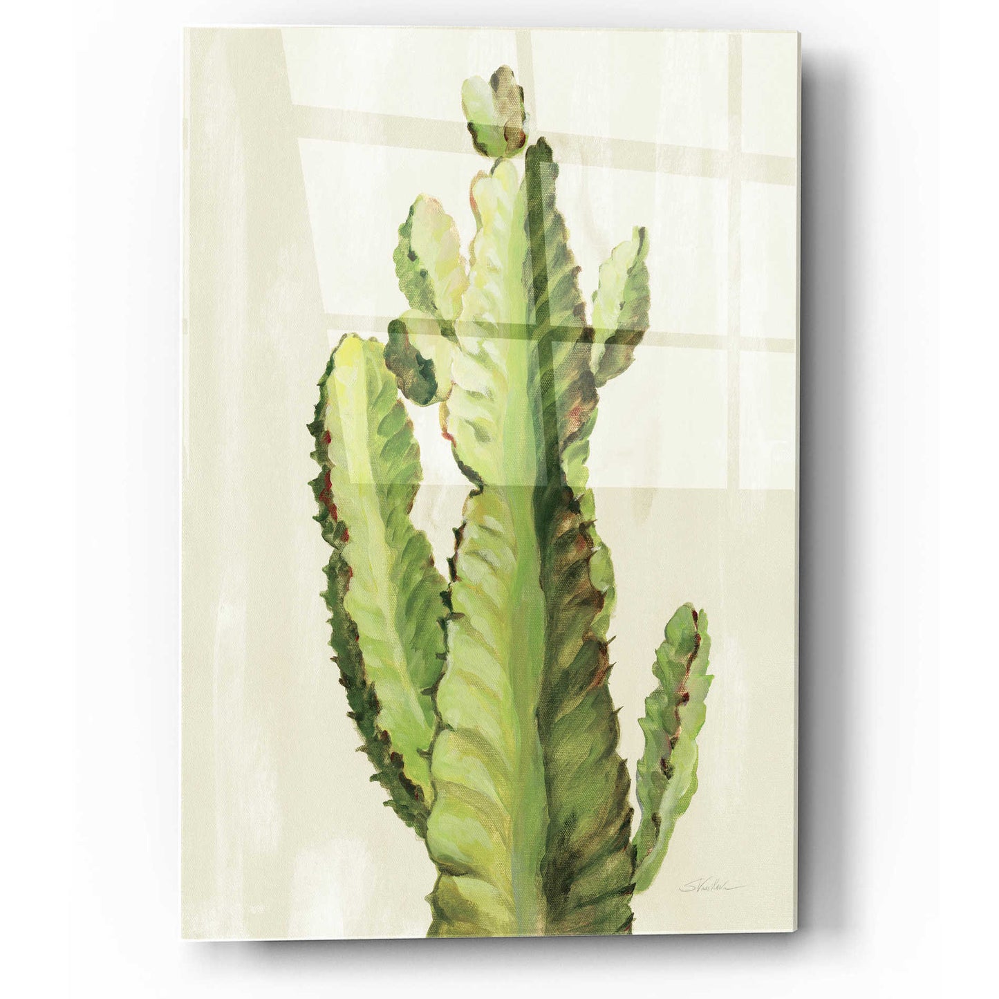 Epic Art 'Front Yard Cactus II' by Silvia Vassileva, Acrylic Glass Wall Art,12x16