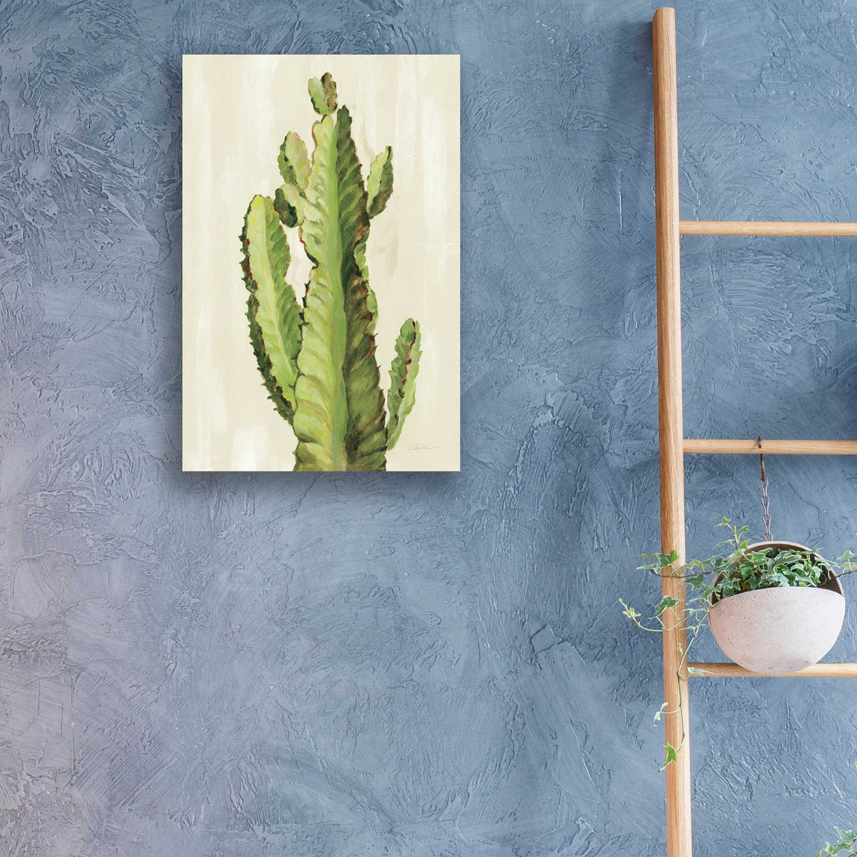 Epic Art 'Front Yard Cactus II' by Silvia Vassileva, Acrylic Glass Wall Art,16x24