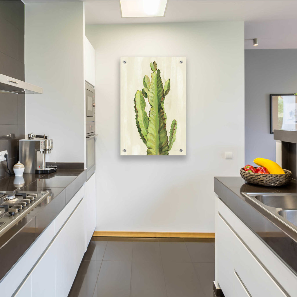 Epic Art 'Front Yard Cactus II' by Silvia Vassileva, Acrylic Glass Wall Art,24x36