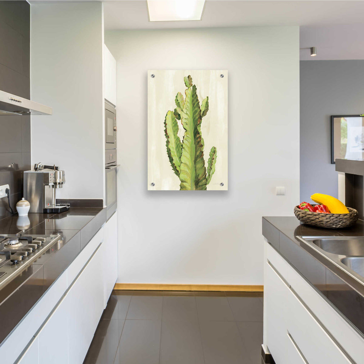 Epic Art 'Front Yard Cactus II' by Silvia Vassileva, Acrylic Glass Wall Art,24x36