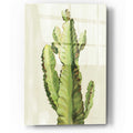 Epic Art 'Front Yard Cactus II' by Silvia Vassileva, Acrylic Glass Wall Art
