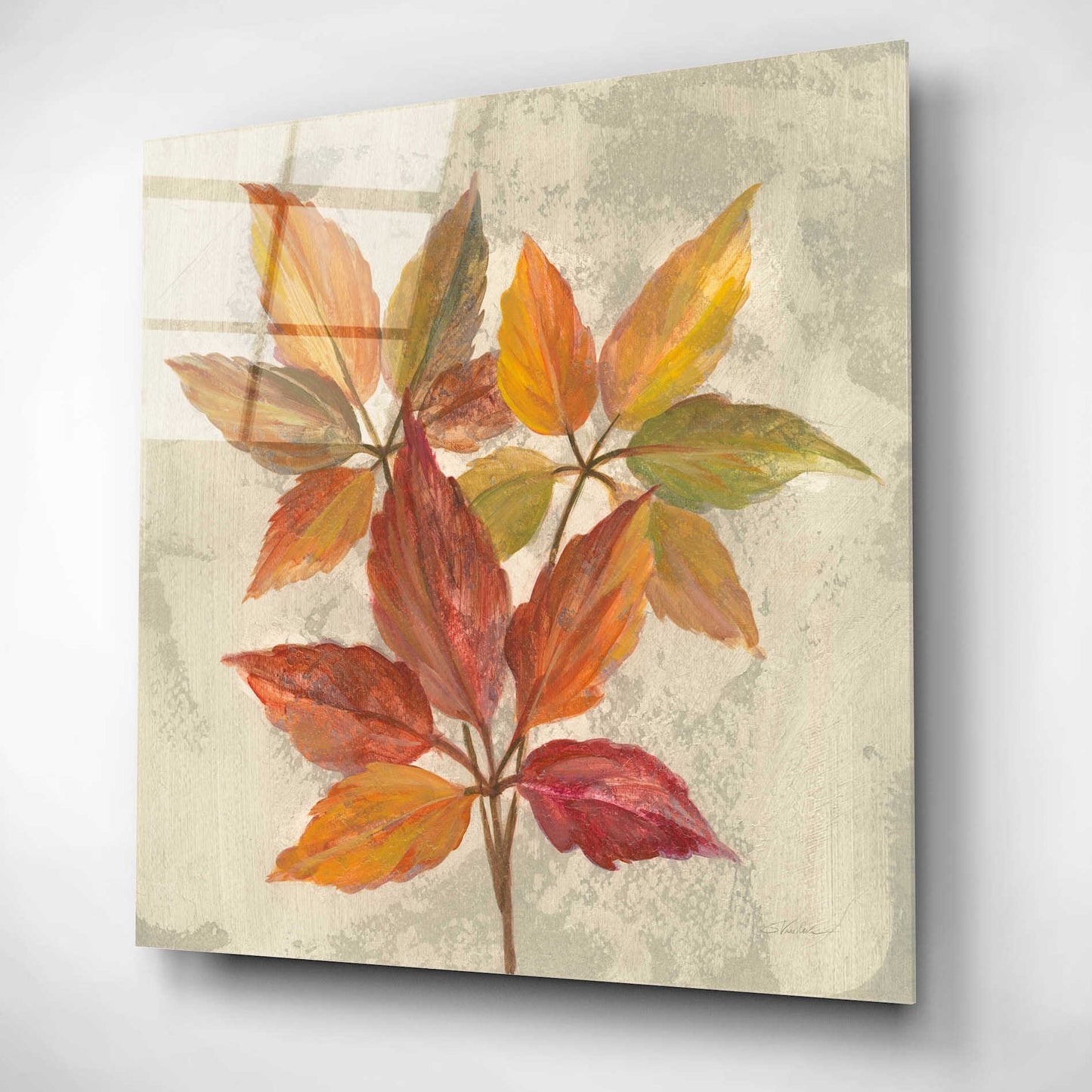 Epic Art 'November Leaves I' by Silvia Vassileva, Acrylic Glass Wall Art,12x12