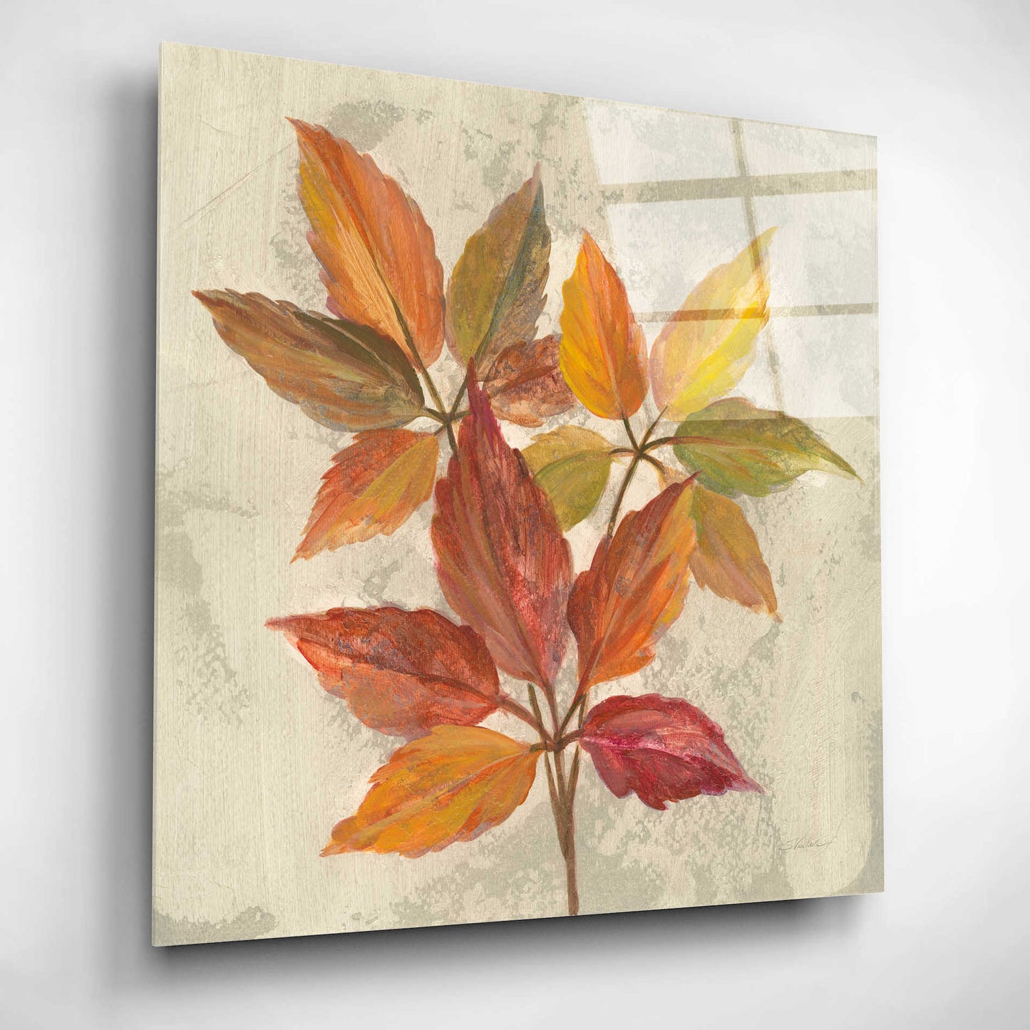 Epic Art 'November Leaves I' by Silvia Vassileva, Acrylic Glass Wall Art,12x12