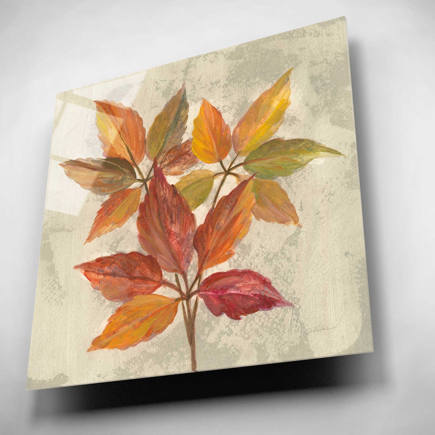 Epic Art 'November Leaves I' by Silvia Vassileva, Acrylic Glass Wall Art,12x12