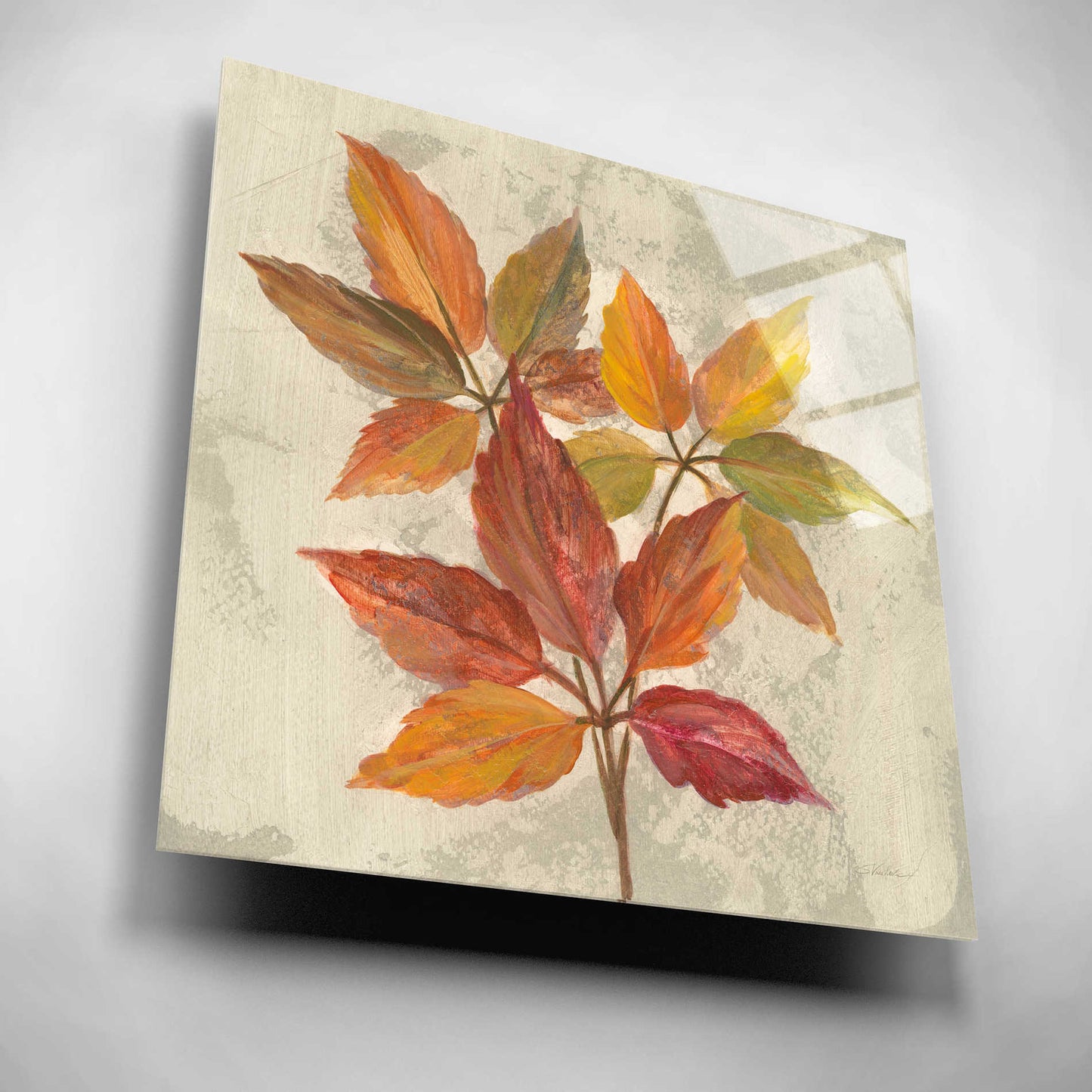 Epic Art 'November Leaves I' by Silvia Vassileva, Acrylic Glass Wall Art,12x12