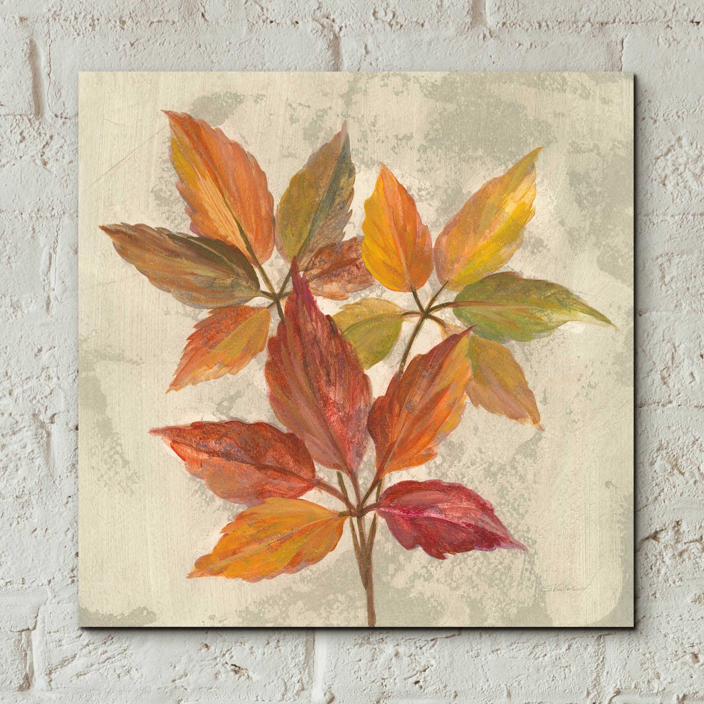 Epic Art 'November Leaves I' by Silvia Vassileva, Acrylic Glass Wall Art,12x12