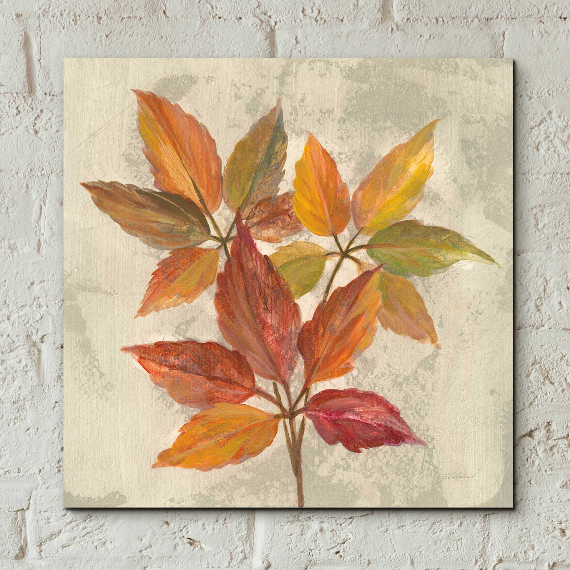 Epic Art 'November Leaves I' by Silvia Vassileva, Acrylic Glass Wall Art,12x12