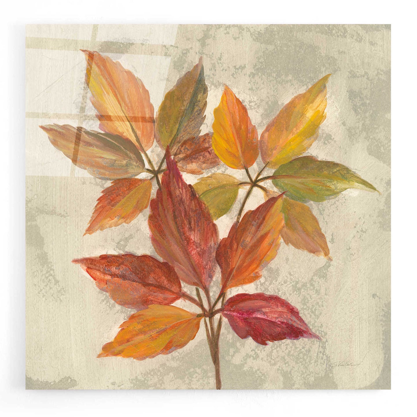 Epic Art 'November Leaves I' by Silvia Vassileva, Acrylic Glass Wall Art,12x12