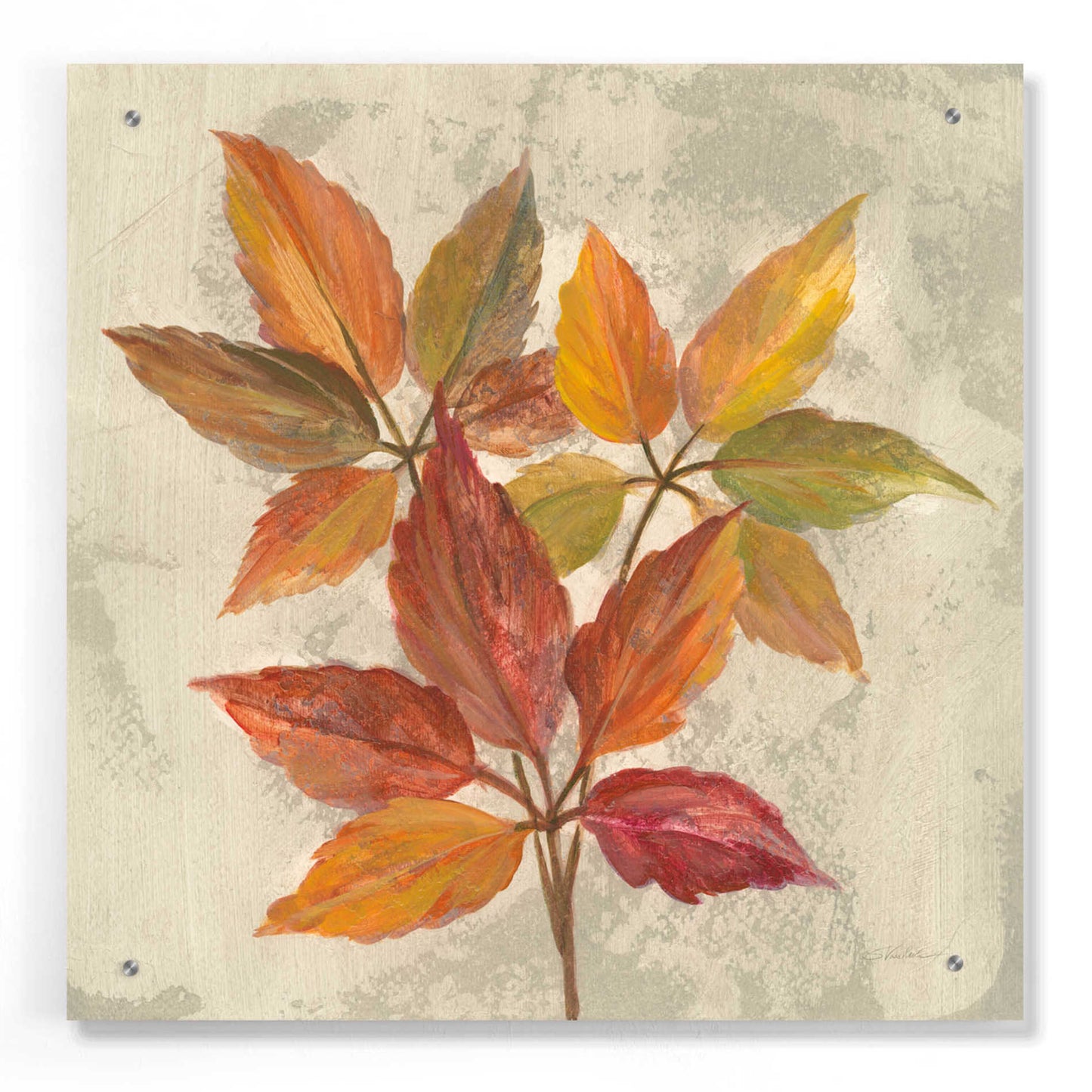 Epic Art 'November Leaves I' by Silvia Vassileva, Acrylic Glass Wall Art,24x24