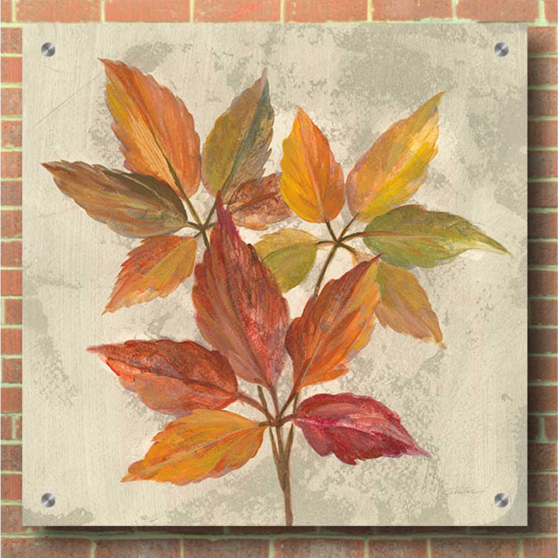 Epic Art 'November Leaves I' by Silvia Vassileva, Acrylic Glass Wall Art,36x36