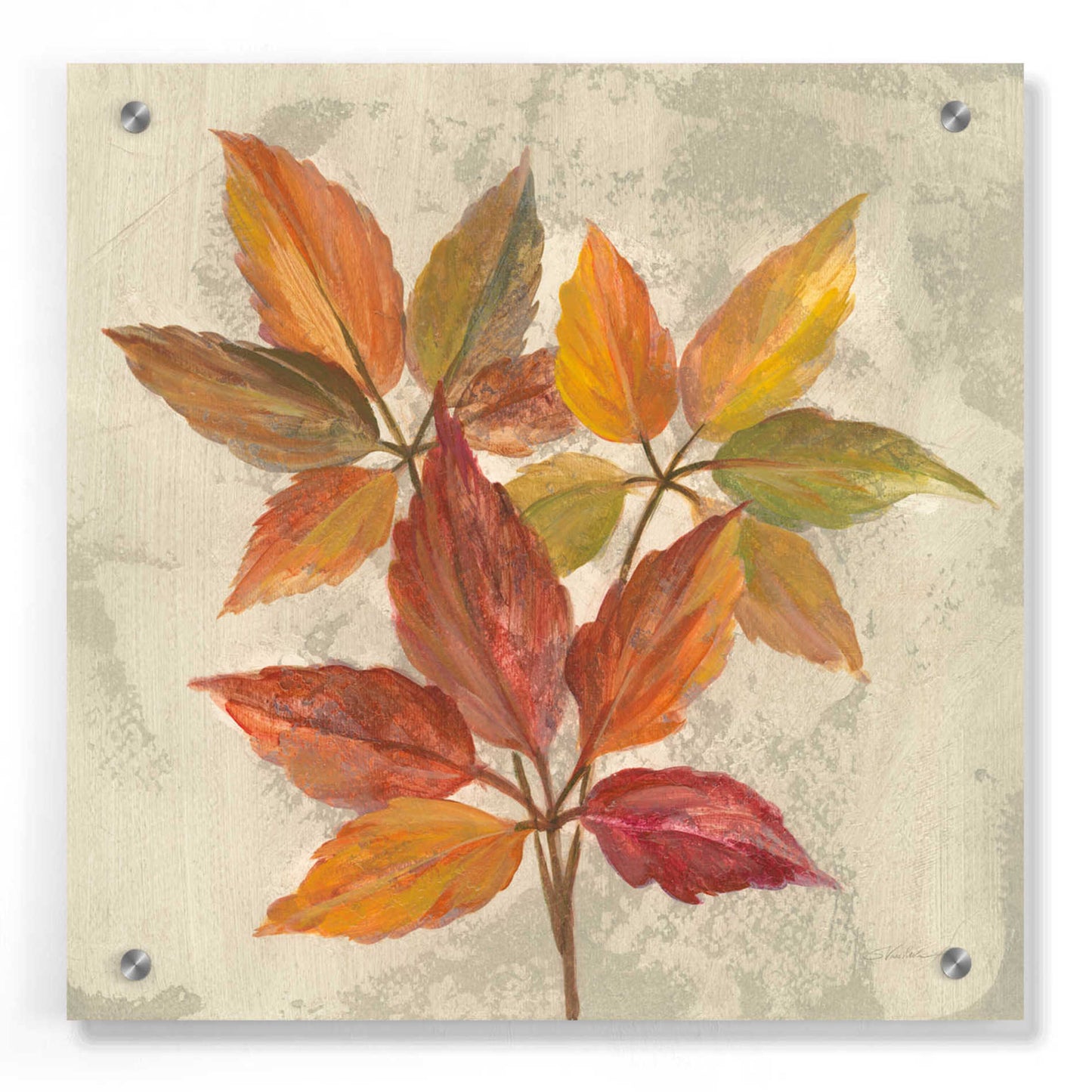 Epic Art 'November Leaves I' by Silvia Vassileva, Acrylic Glass Wall Art,36x36