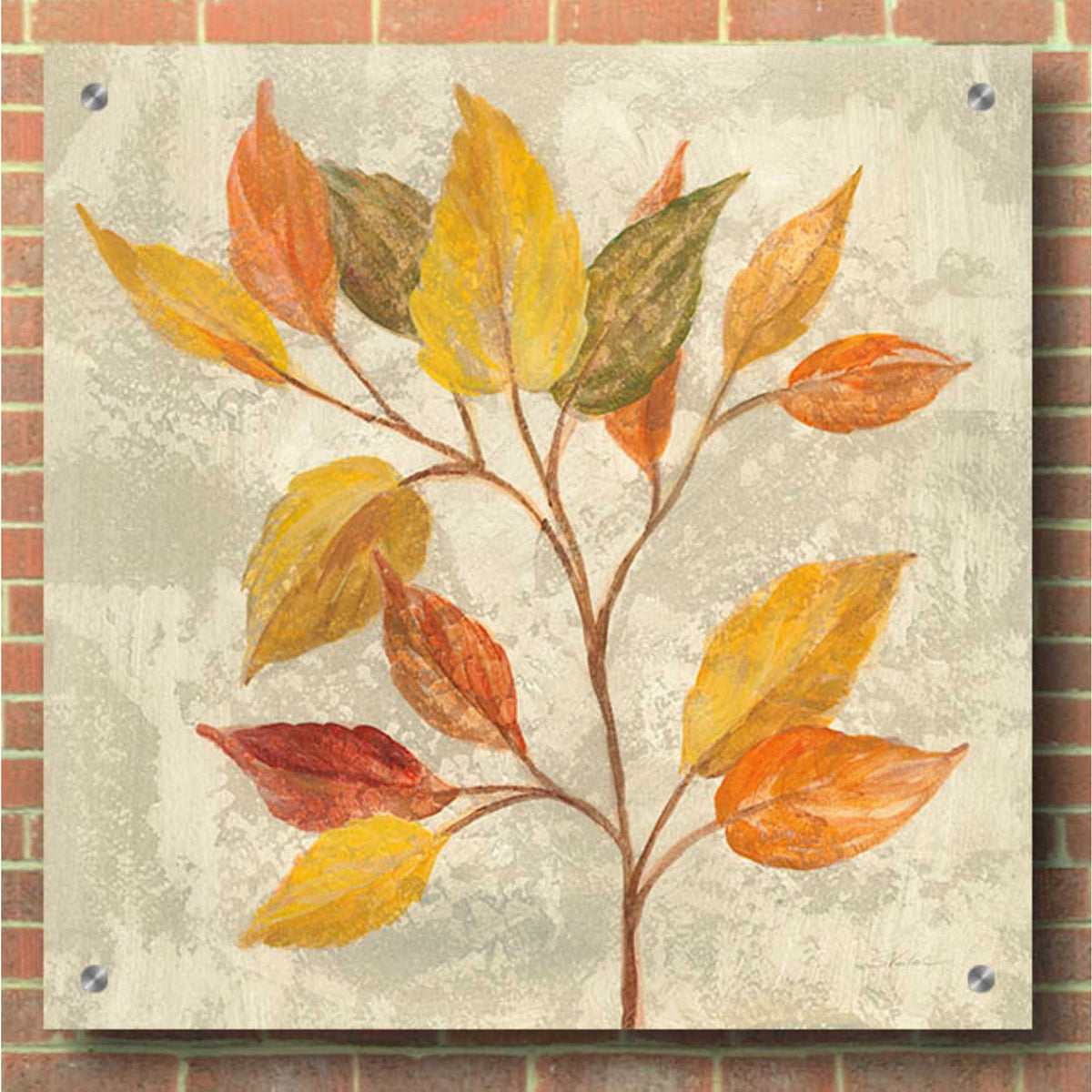Epic Art 'November Leaves II' by Silvia Vassileva, Acrylic Glass Wall Art,36x36