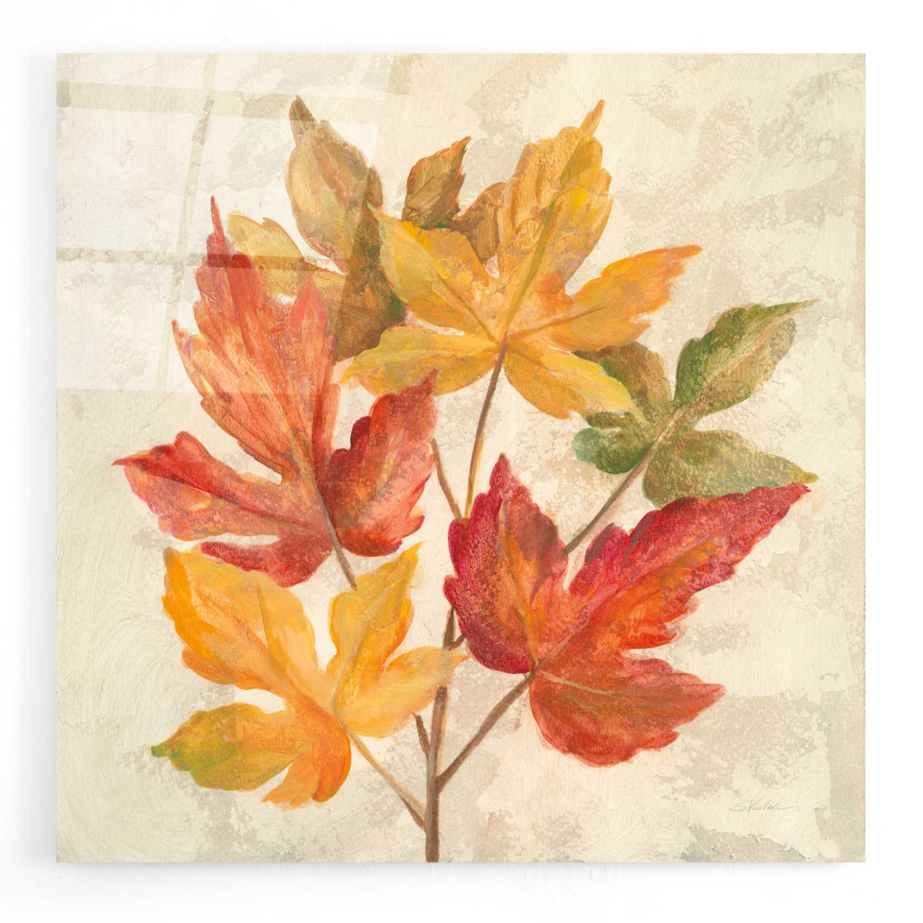 Epic Art 'November Leaves IV' by Silvia Vassileva, Acrylic Glass Wall Art,12x12