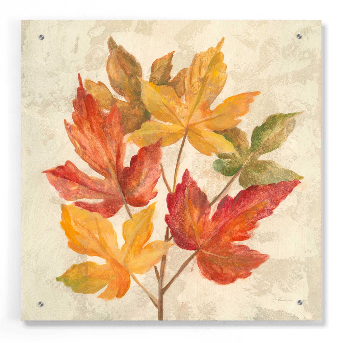 Epic Art 'November Leaves IV' by Silvia Vassileva, Acrylic Glass Wall Art,24x24