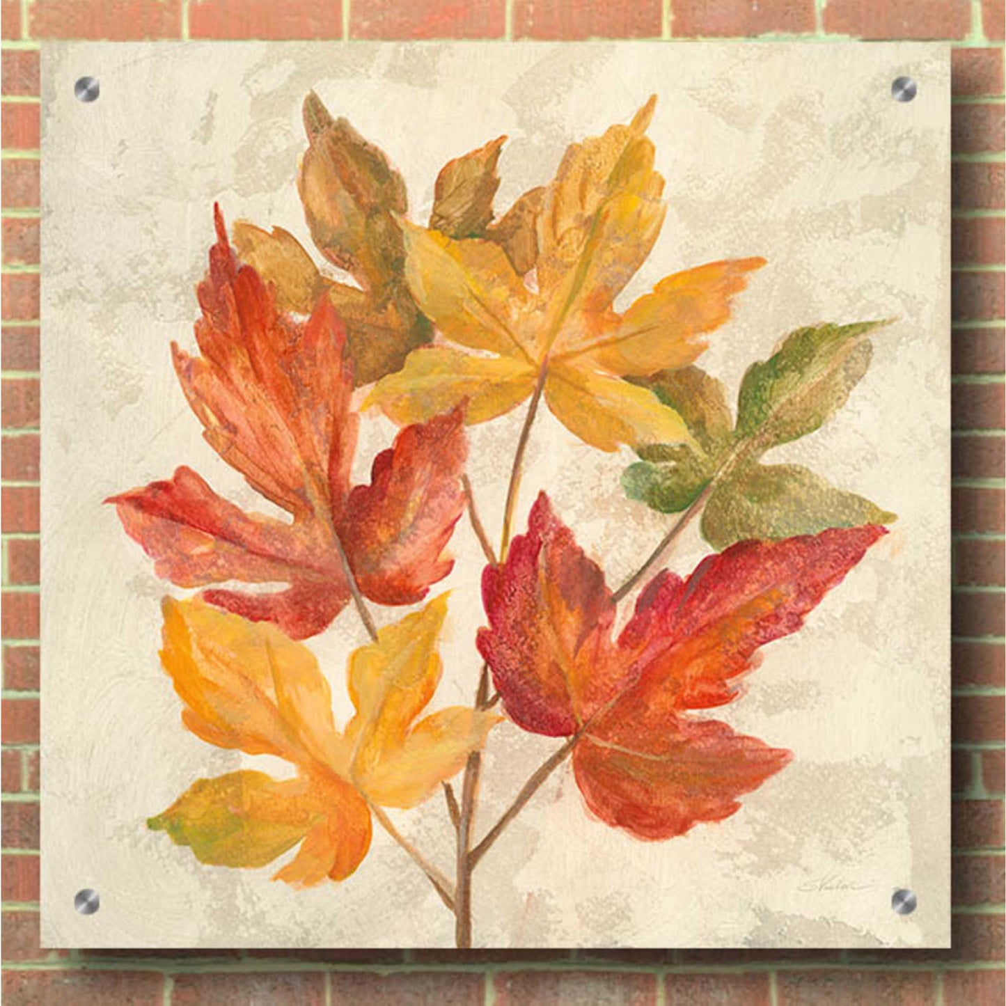 Epic Art 'November Leaves IV' by Silvia Vassileva, Acrylic Glass Wall Art,36x36