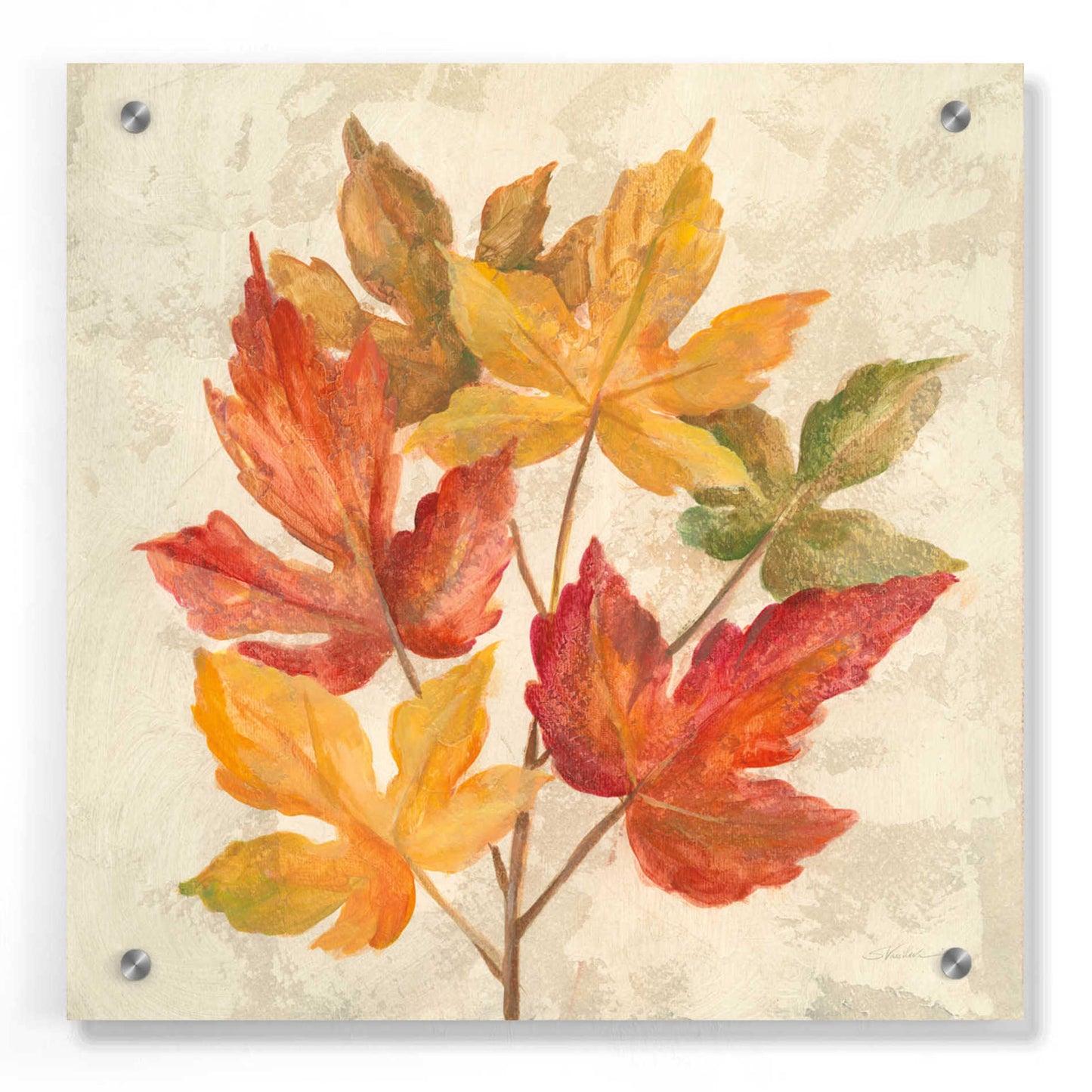 Epic Art 'November Leaves IV' by Silvia Vassileva, Acrylic Glass Wall Art,36x36