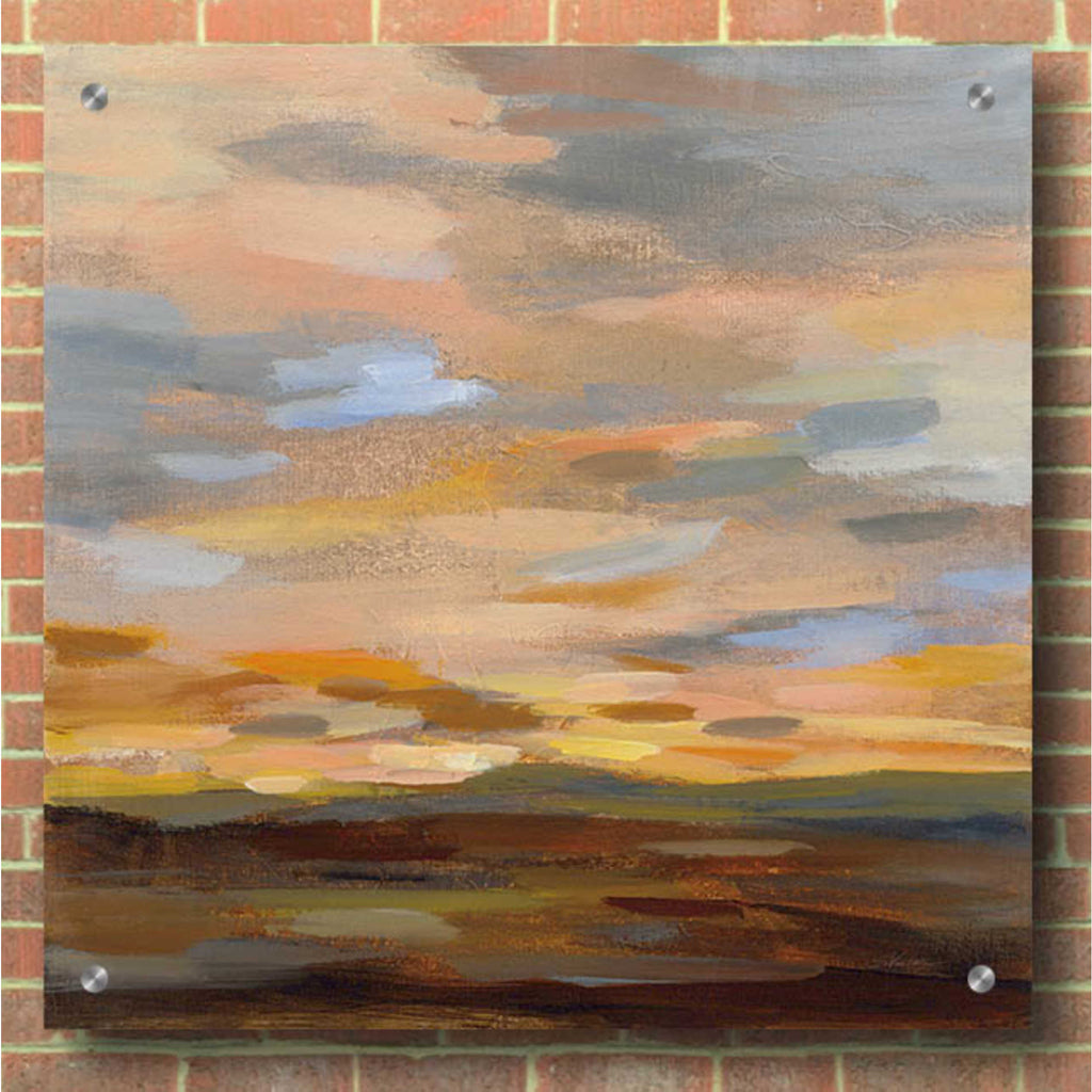 Epic Art 'High Desert Sky III' by Silvia Vassileva, Acrylic Glass Wall Art,36x36