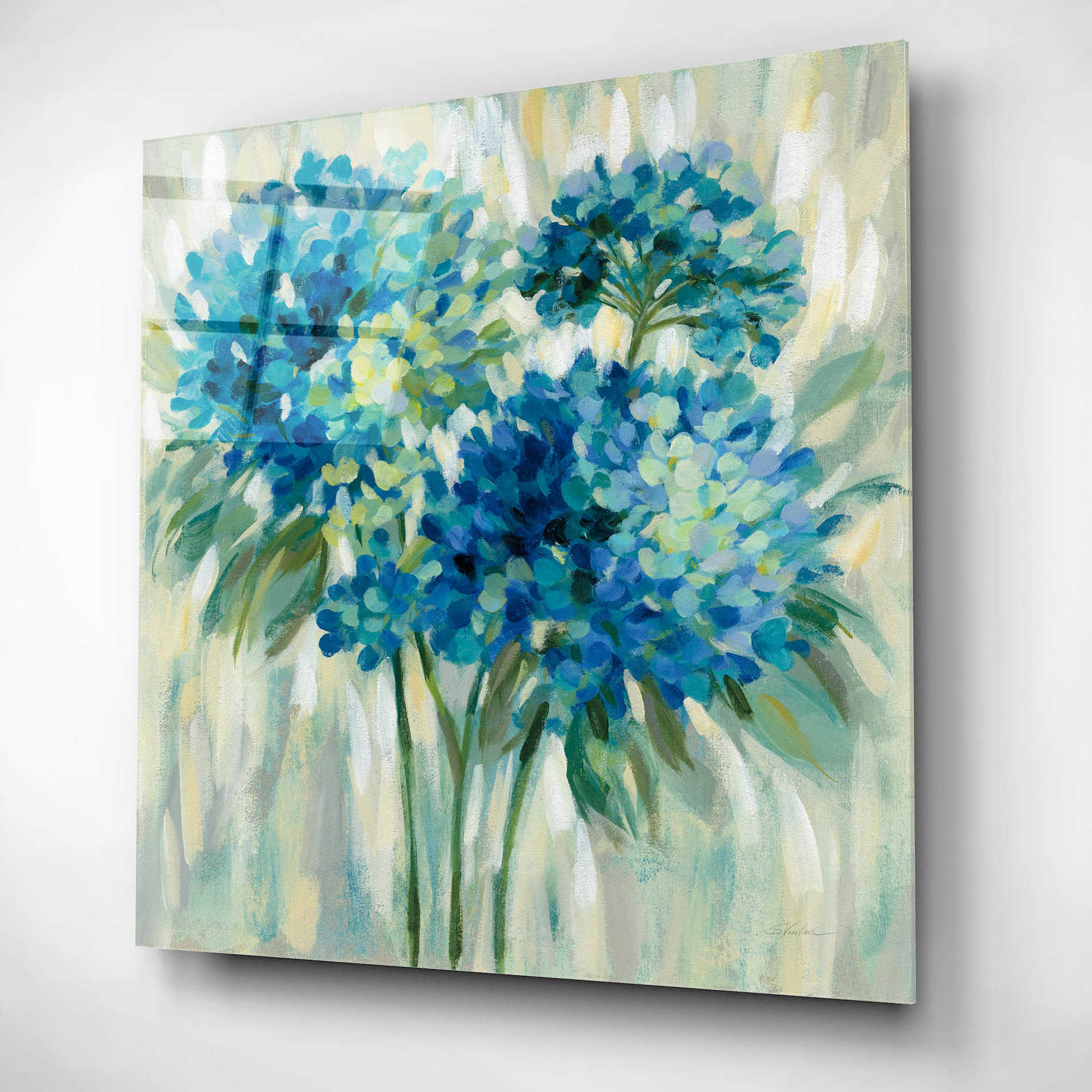 Epic Art 'Burst of Hydrangeas' by Silvia Vassileva, Acrylic Glass Wall Art,12x12