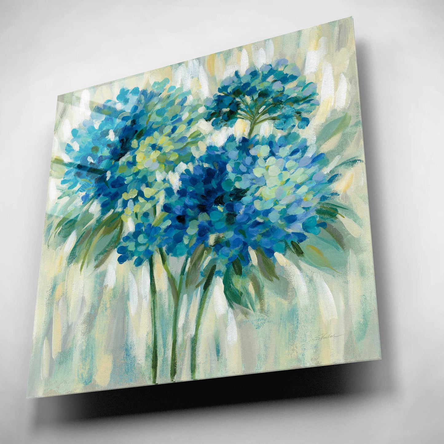 Epic Art 'Burst of Hydrangeas' by Silvia Vassileva, Acrylic Glass Wall Art,12x12