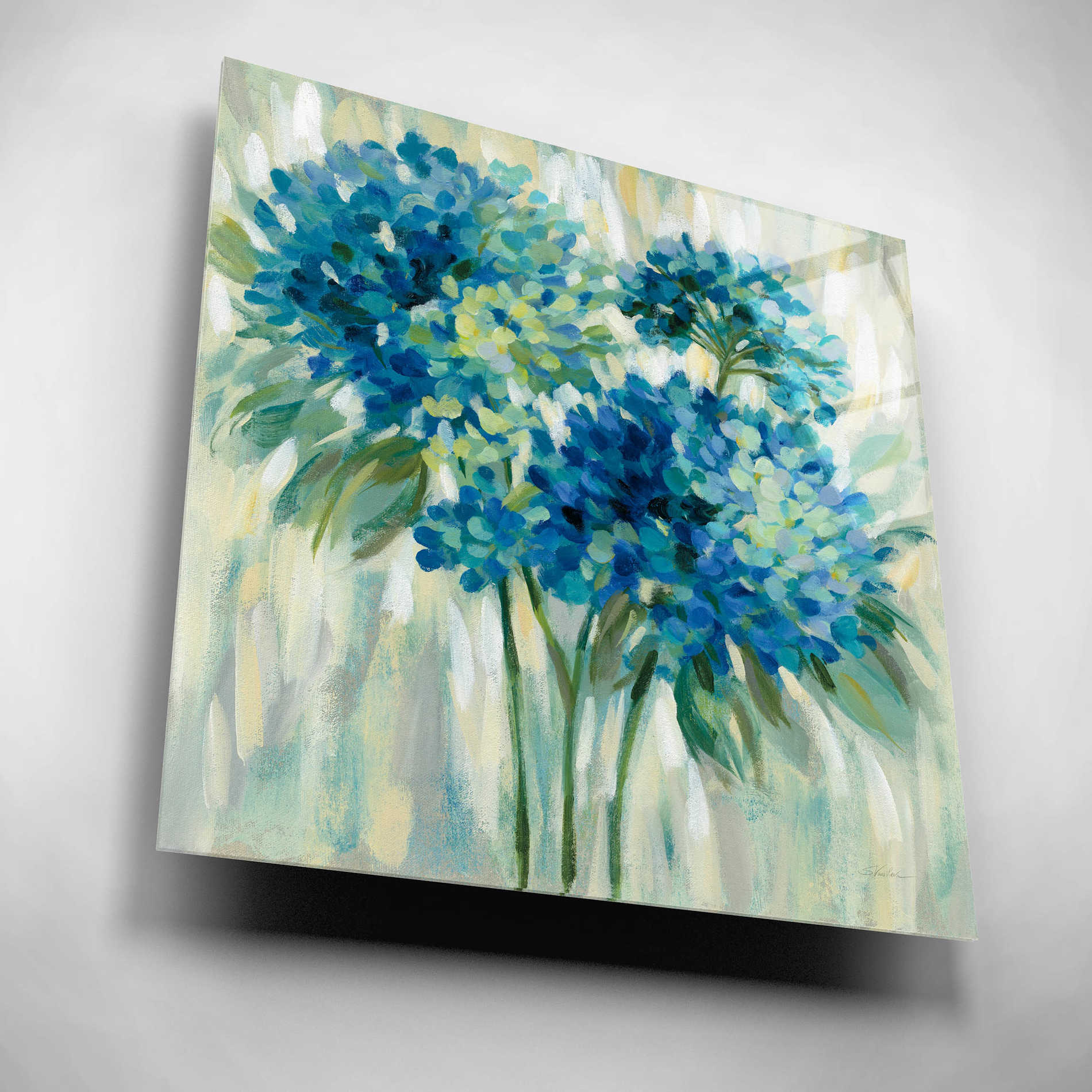 Epic Art 'Burst of Hydrangeas' by Silvia Vassileva, Acrylic Glass Wall Art,12x12