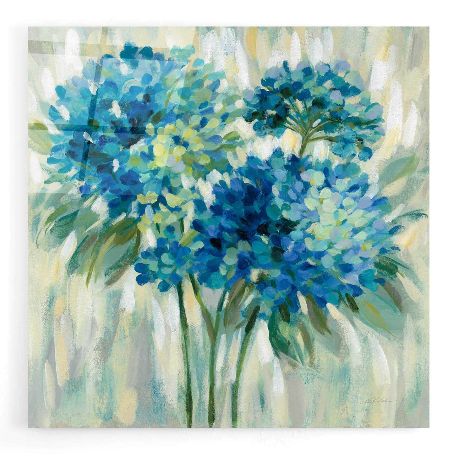 Epic Art 'Burst of Hydrangeas' by Silvia Vassileva, Acrylic Glass Wall Art,12x12