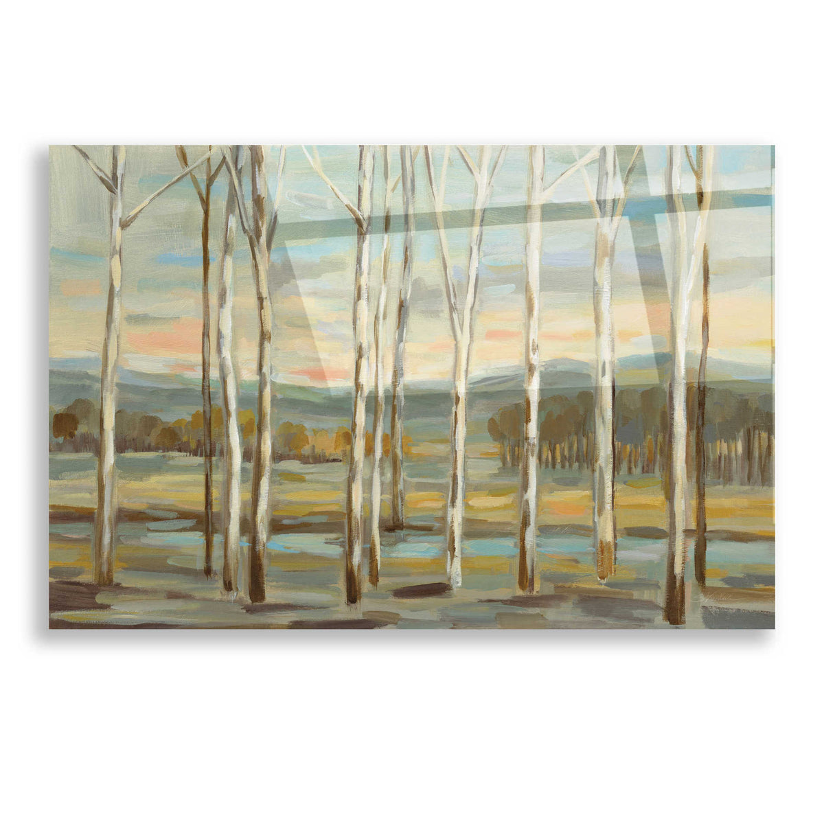 Epic Art 'Silver Forest' by Silvia Vassileva, Acrylic Glass Wall Art