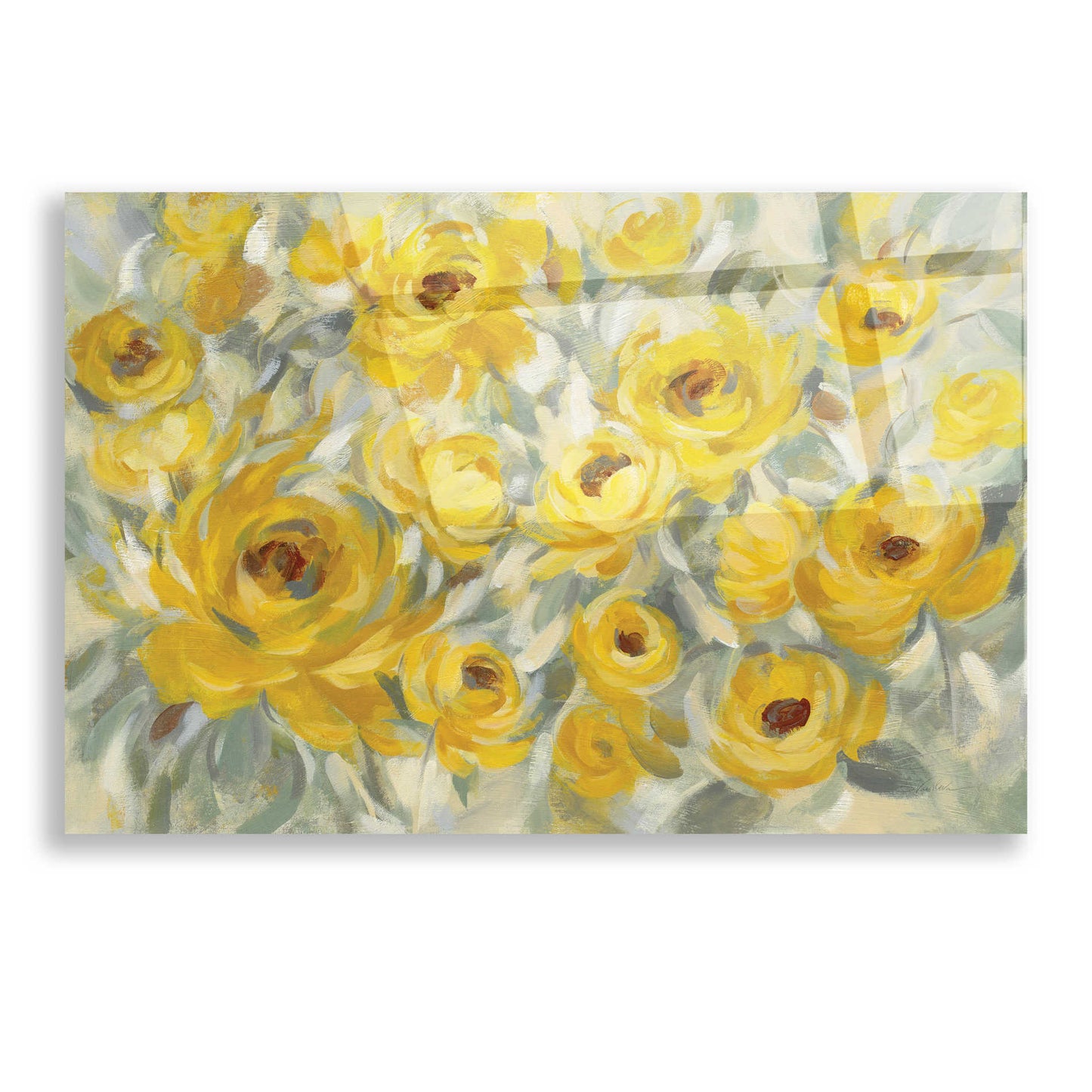 Epic Art 'Yellow Roses' by Silvia Vassileva, Acrylic Glass Wall Art,16x12