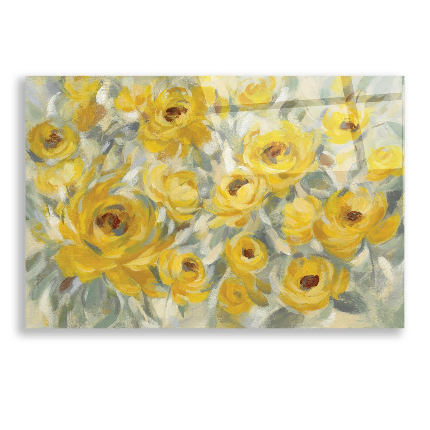 Epic Art 'Yellow Roses' by Silvia Vassileva, Acrylic Glass Wall Art,24x16