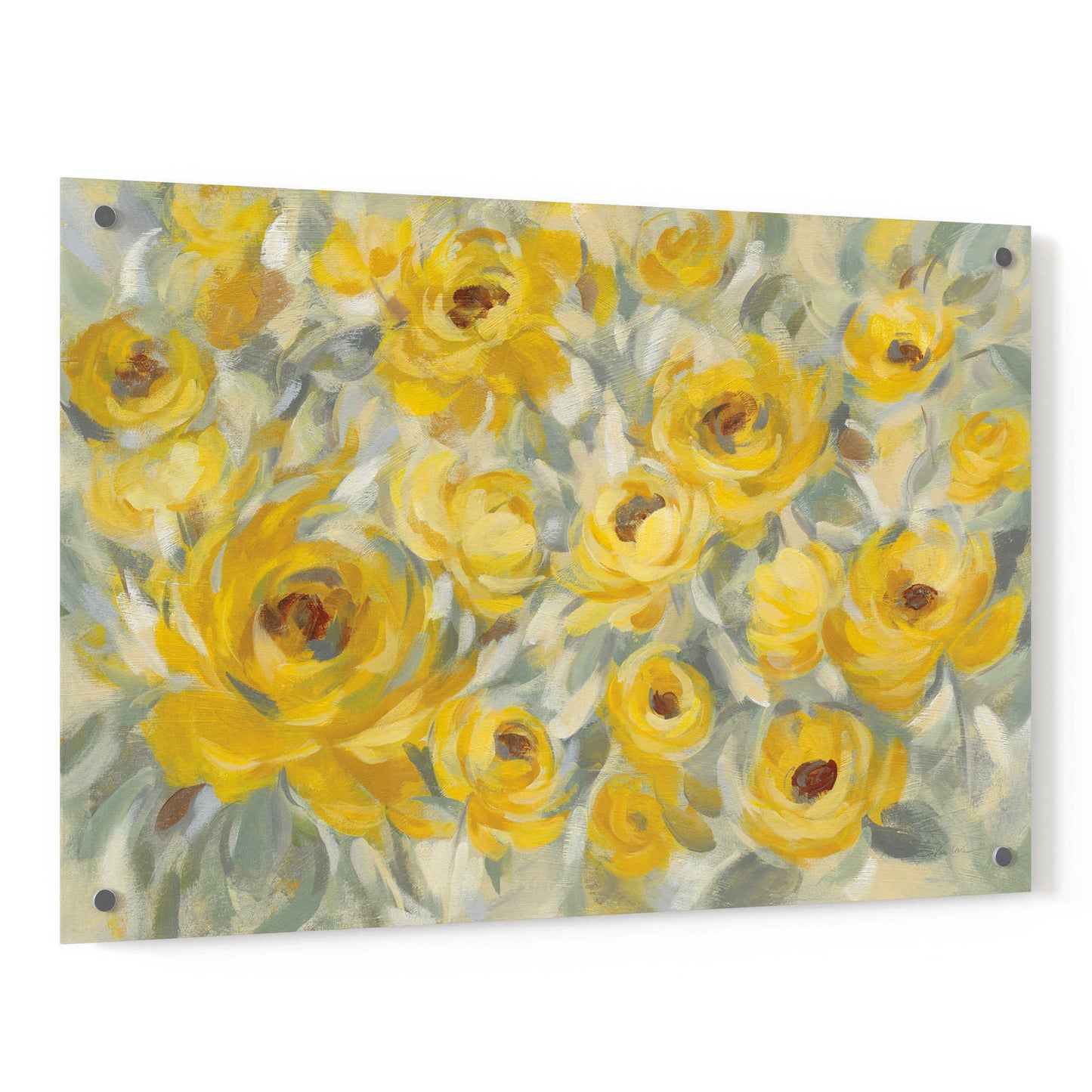 Epic Art 'Yellow Roses' by Silvia Vassileva, Acrylic Glass Wall Art,36x24