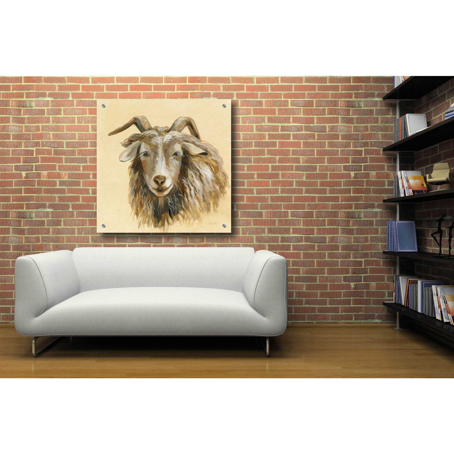 Epic Art 'Highland Animal Sheep' by Silvia Vassileva, Acrylic Glass Wall Art,36x36