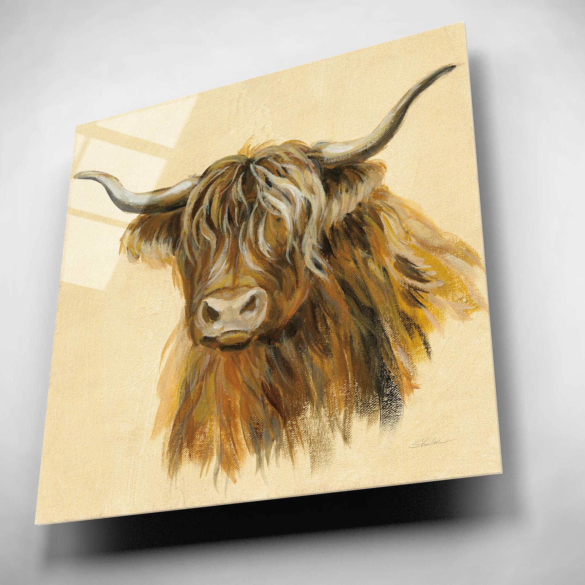 Epic Art 'Highland Animal Cow' by Silvia Vassileva, Acrylic Glass Wall Art,12x12