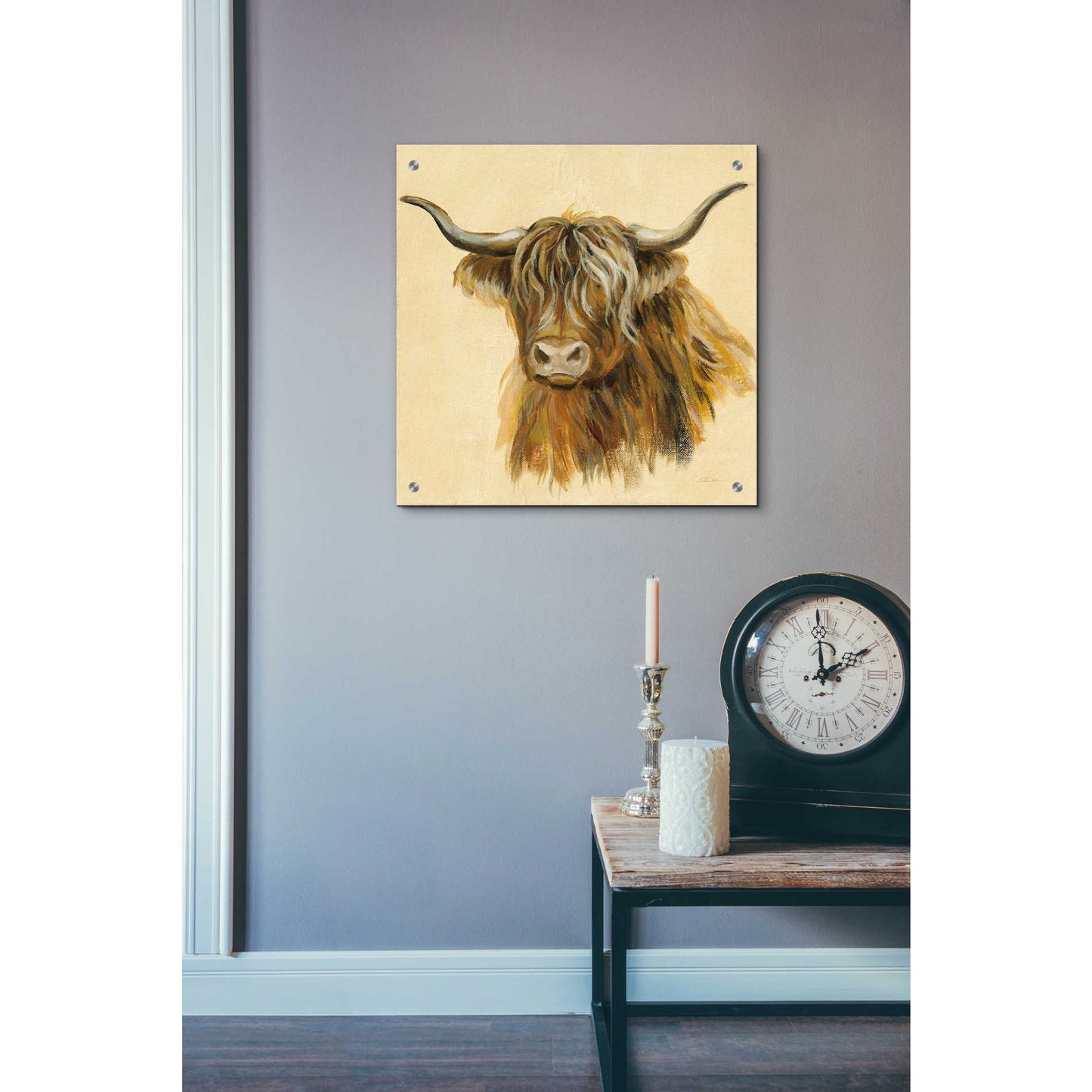 Epic Art 'Highland Animal Cow' by Silvia Vassileva, Acrylic Glass Wall Art,24x24