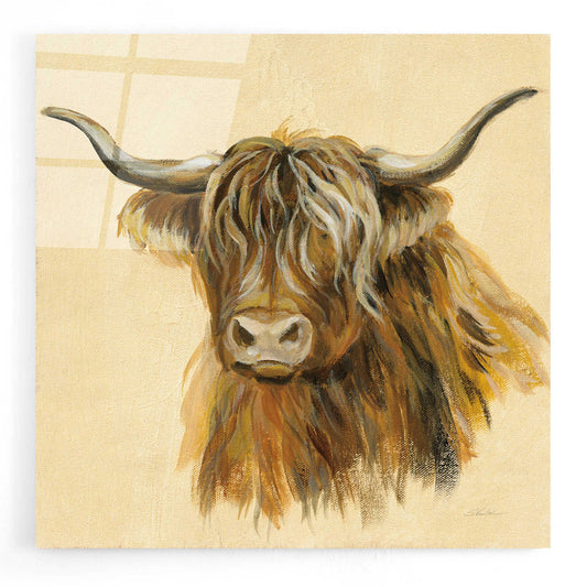 Epic Art 'Highland Animal Cow' by Silvia Vassileva, Acrylic Glass Wall Art
