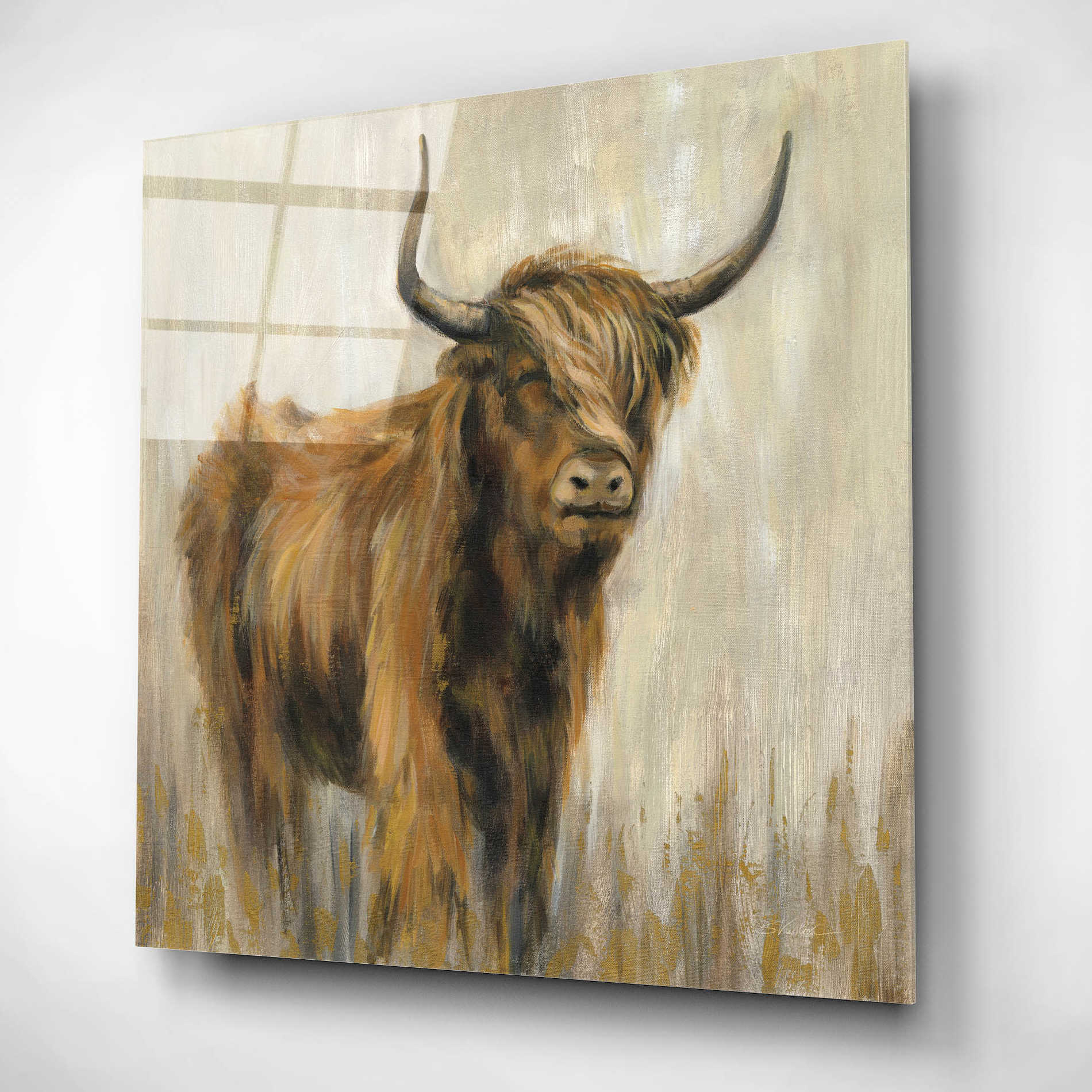 Epic Art 'Highland Mountain Cow' by Silvia Vassileva, Acrylic Glass Wall Art,12x12